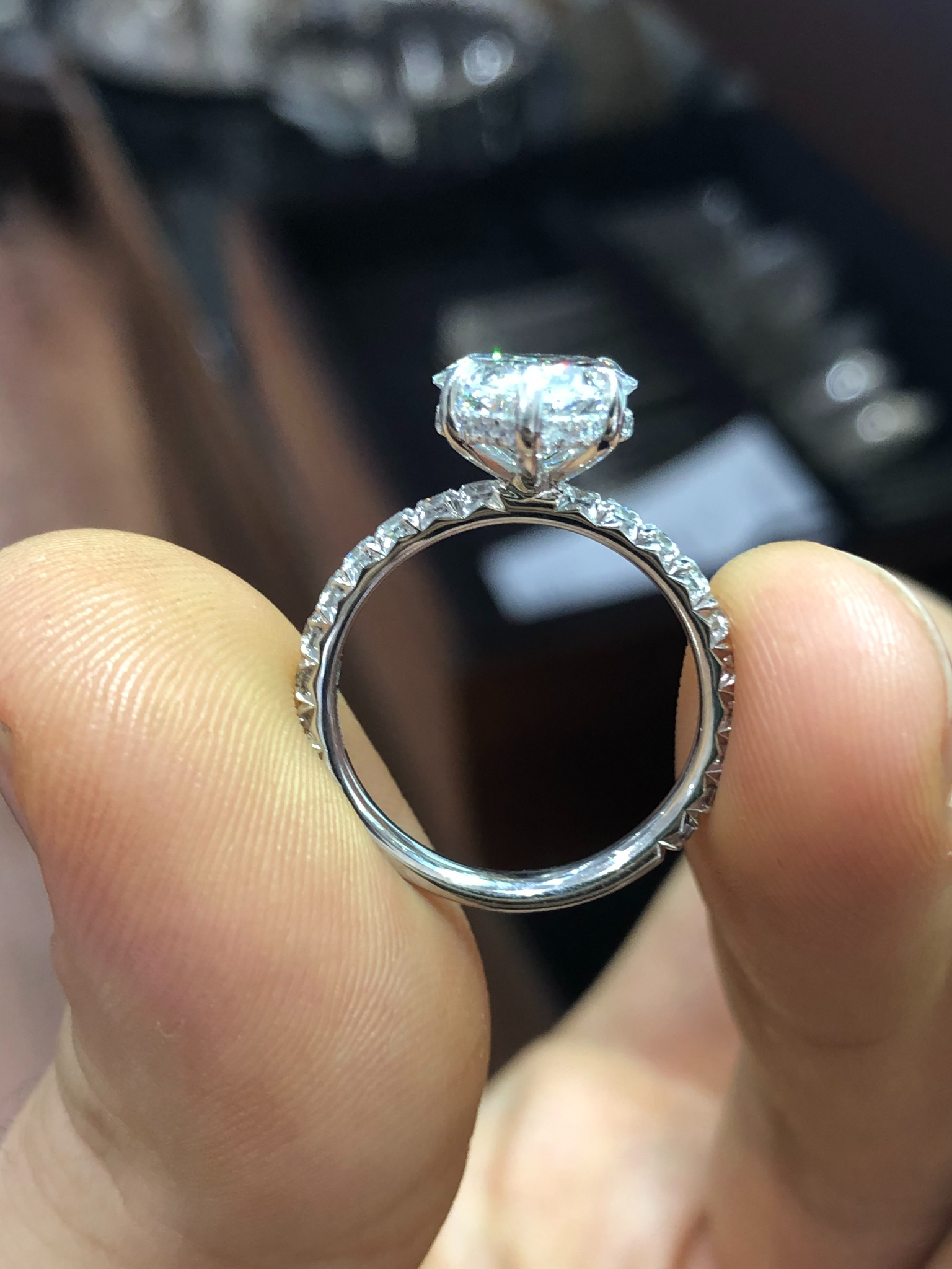 Lauren b 2025 hidden halo